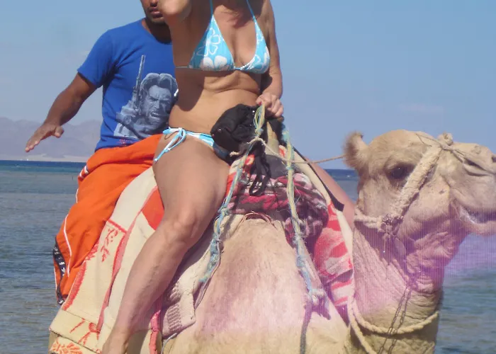 Club Resort Nuweiba`