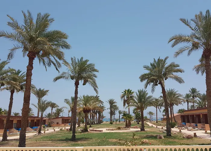 Club Resort