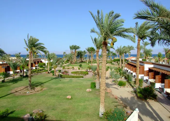 Resort Club Nuweiba`