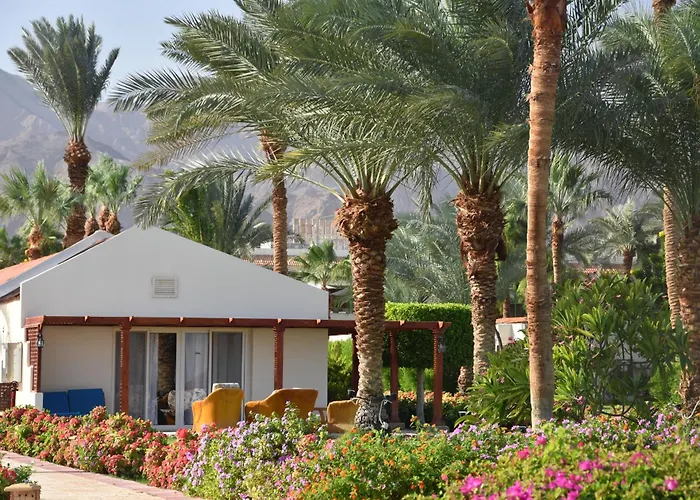 Club 4* Nuweiba`