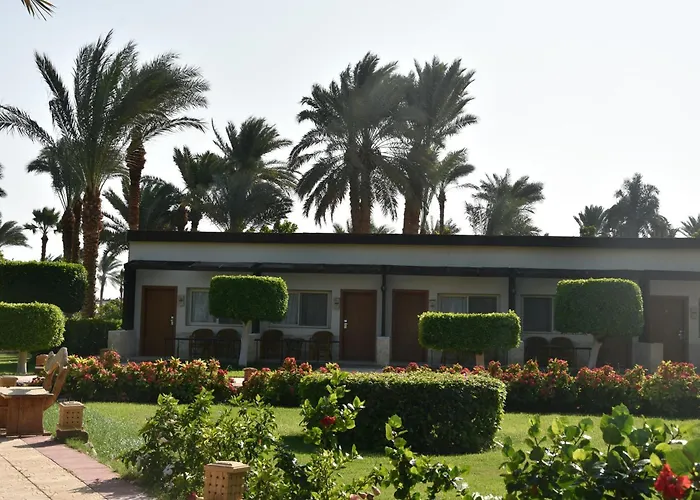 Club 4*