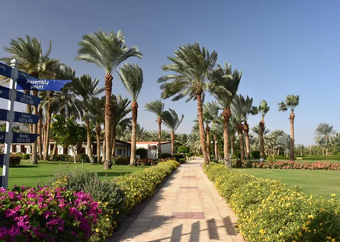 Club 4* Nuweiba`