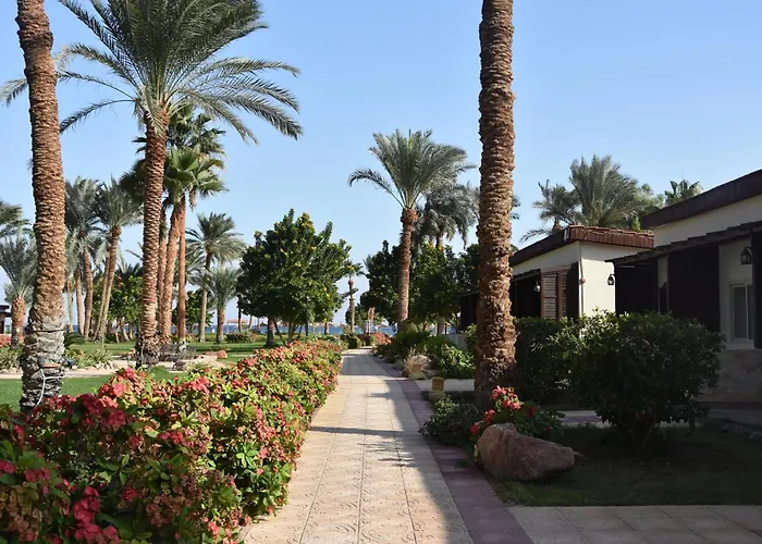 Club 4* Nuweiba`