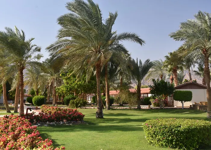 Club Resort Nuweiba`