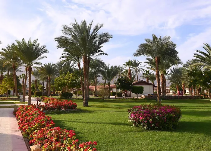 Club Resort