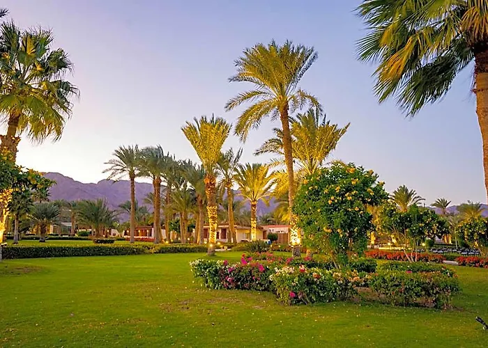Club 4* Nuweiba`