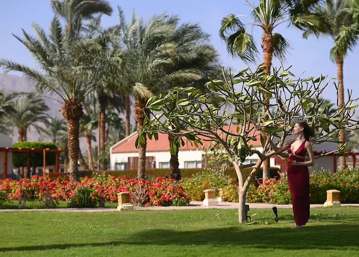 Resort Club Nuweiba`